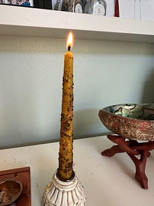 IMG_9841