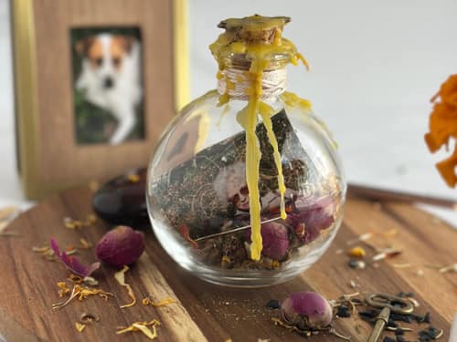 ancestor spell jar styled on a surface with image of a deceased pet